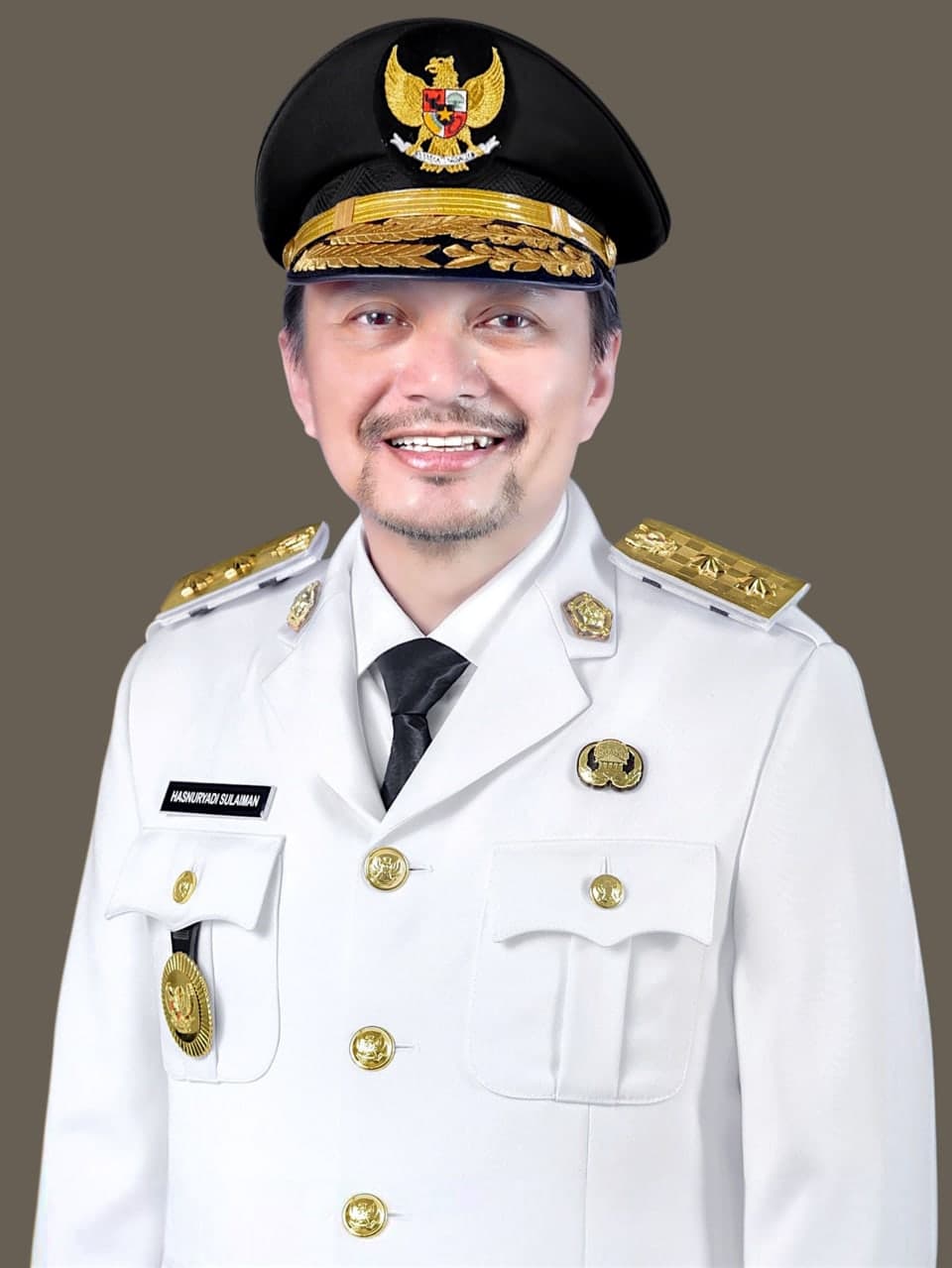 Wakil Gubernur Kalimantan Selatan Hasnuryadi Sulaiman